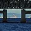 起重機船