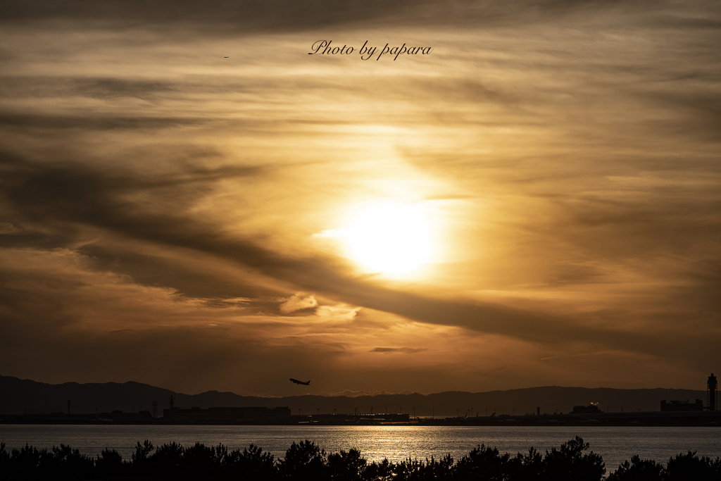 RINKU Sunset_2024199