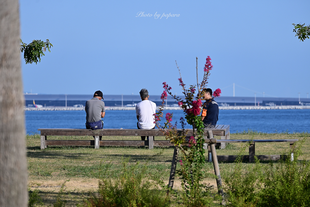 walking course_78