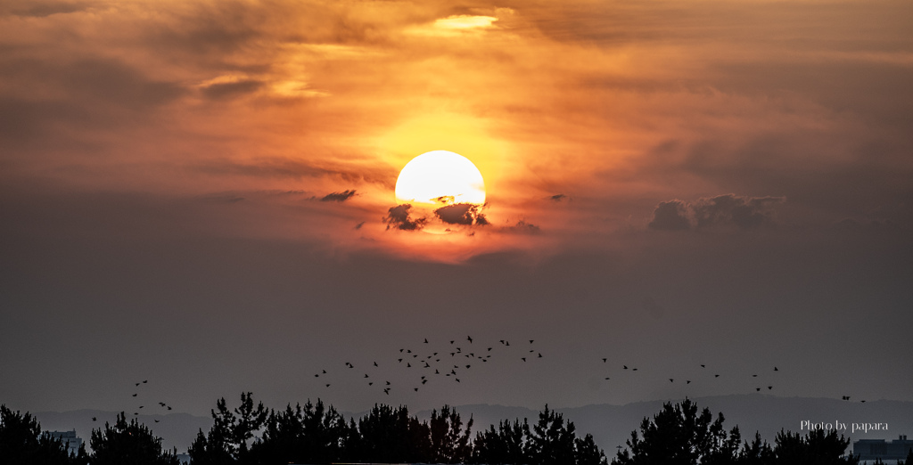 RINKU Sunset_2025181