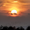 RINKU Sunset_2025181