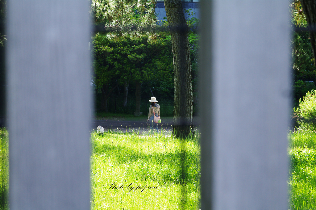 walking course_76