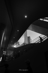 Colourful Black and White_11