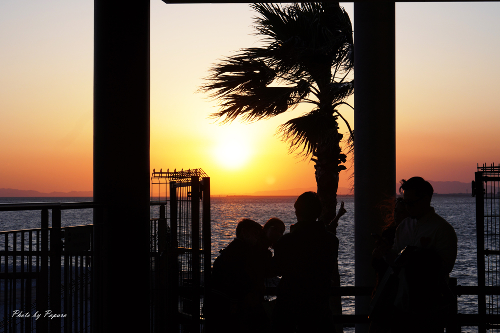 RINKU Sunset_98