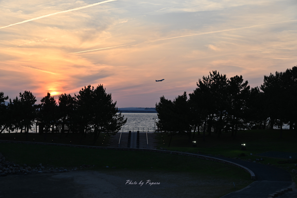 RINKU Sunset_139