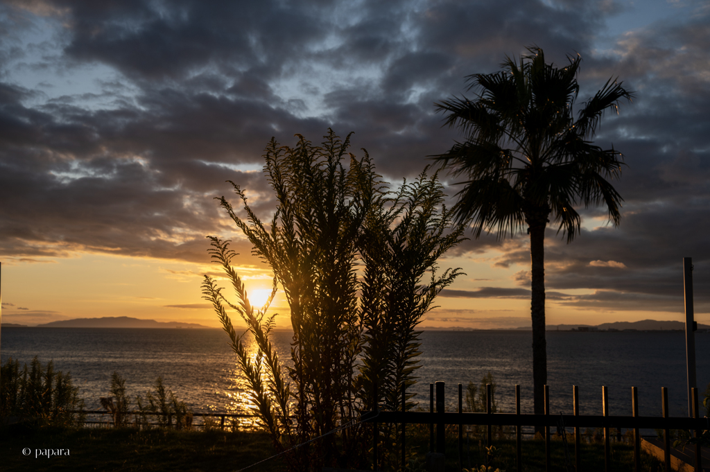 RINKU Sunset_20251121