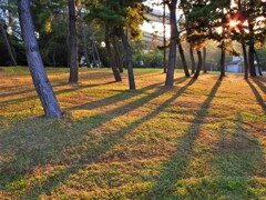 日差し