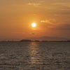 RINKU Sunset_2024252