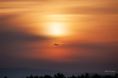 RINKU Sunset_2025146