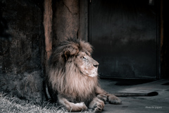 天王寺動物園からのお便り_150