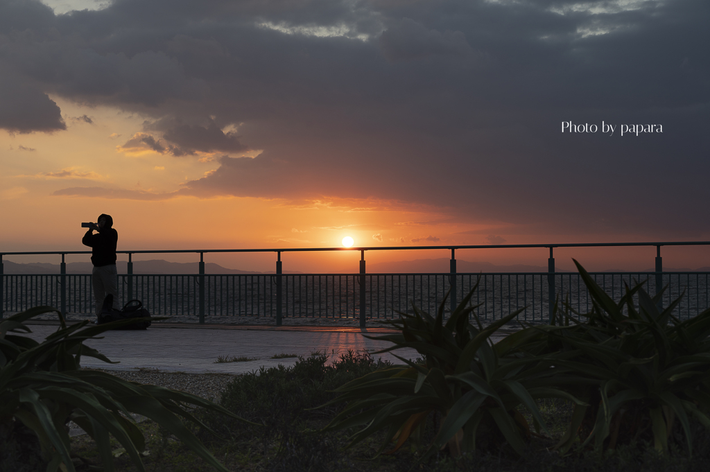 RINKU Sunset_2024348