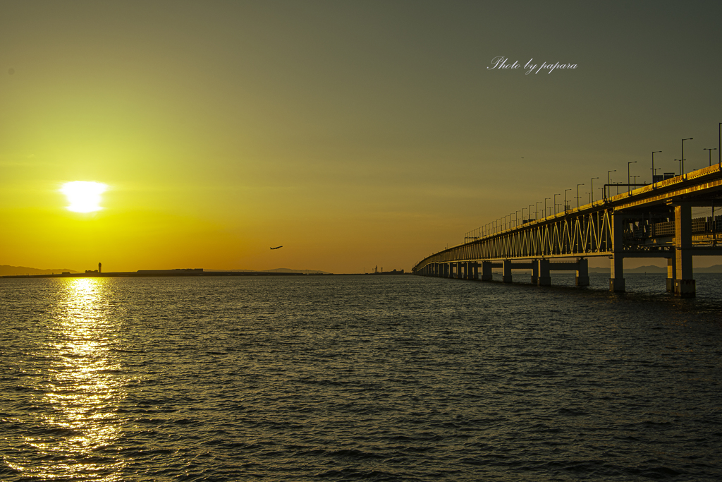RINKU Sunset_2024167