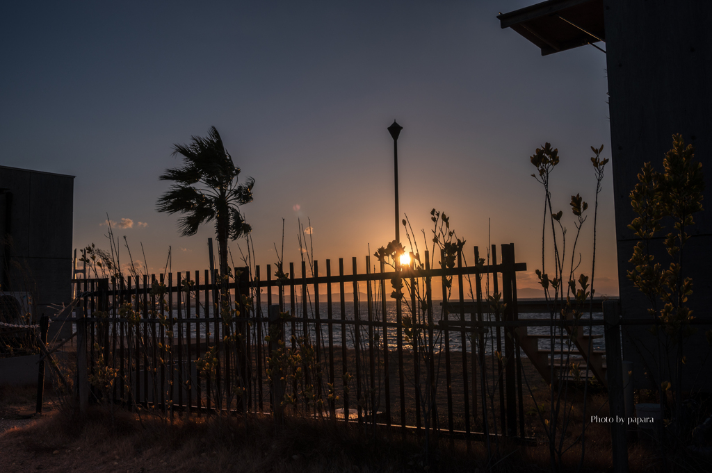 RINKU Sunset_2025015