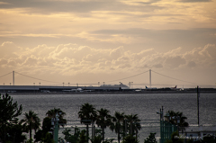 RINKU Sunset_2025213