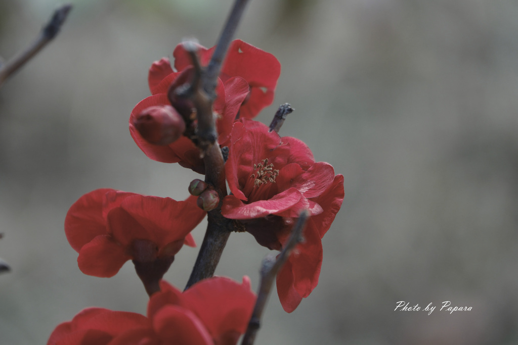walking course_05