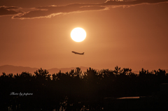 RINKU Sunset_20250827