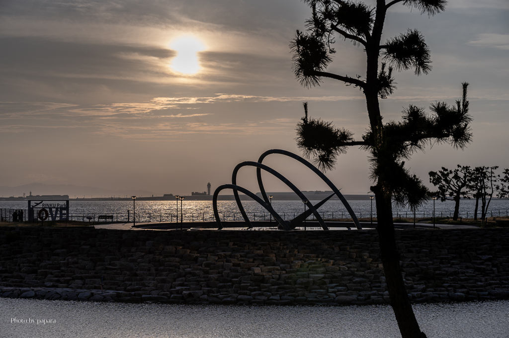 RINKU Sunset_2025186