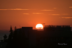RINKU Sunset_240