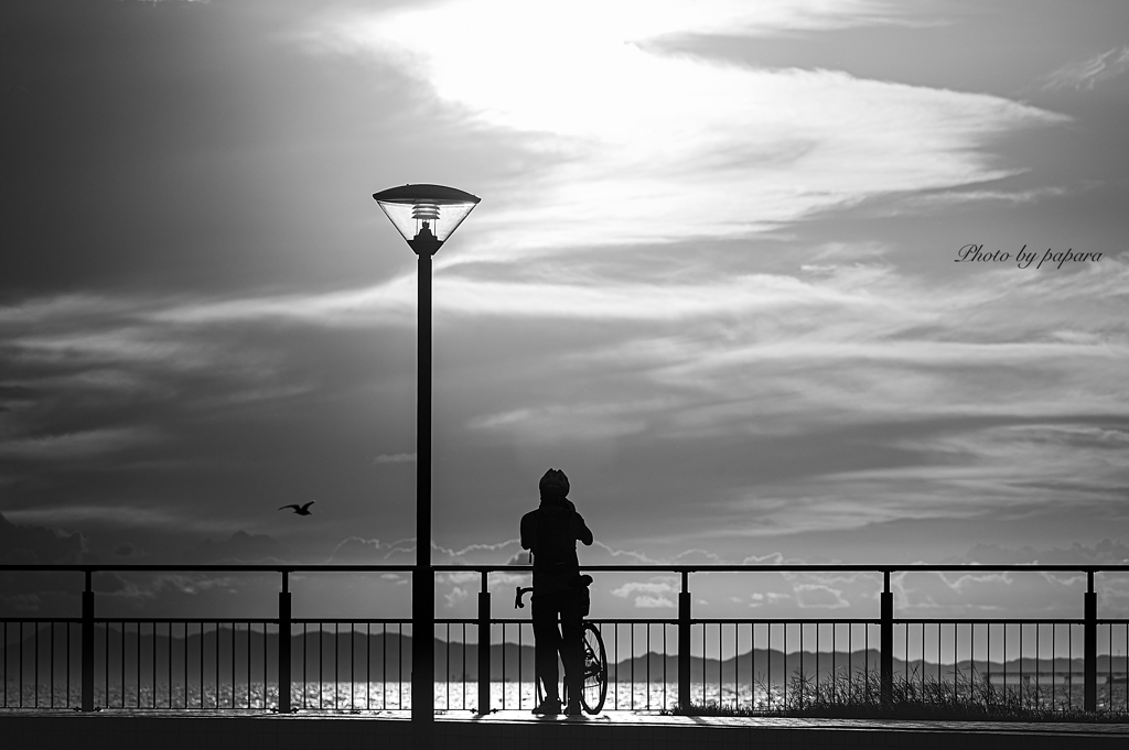 RINKU Sunset_2024274