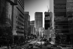 Colourful Black and White_34