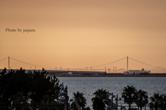 RINKU Sunset_20250831