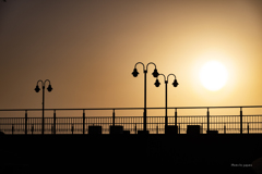 RINKU Sunset_2025088