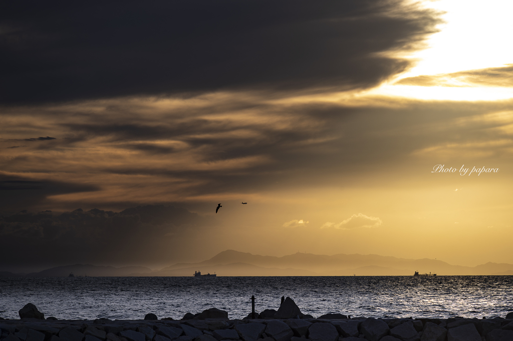 RINKU Sunset_2024275
