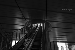 Colourful Black and White_09