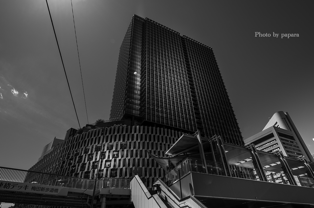 Colourful Black and White_14