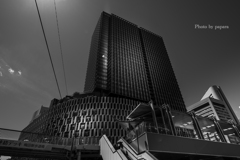 Colourful Black and White_14