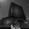 Colourful Black and White_14