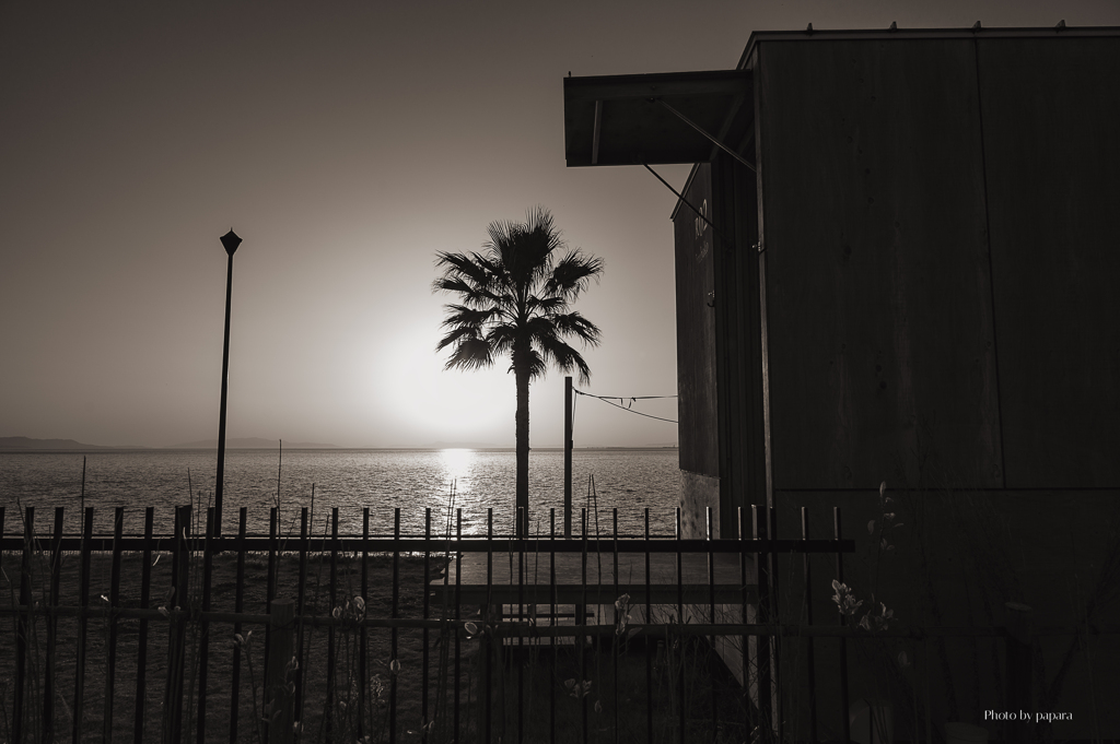 RINKU Sunset_2025087