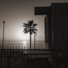 RINKU Sunset_2025087