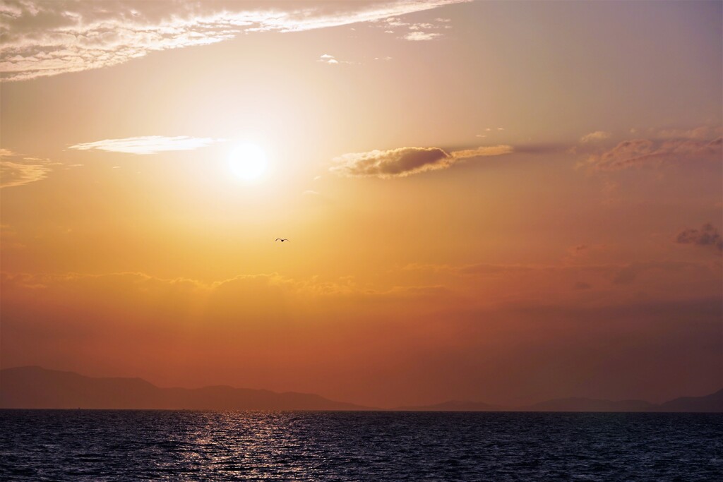 heading to the sunset