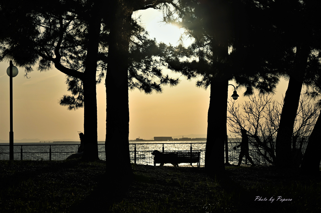 RINKU Sunset_114