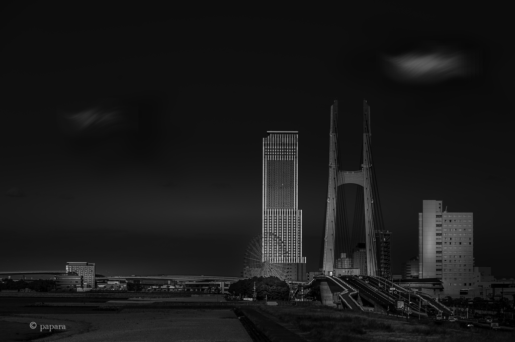 Colourful Black and White_40