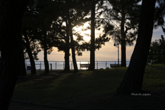 RINKU Sunset_2024337
