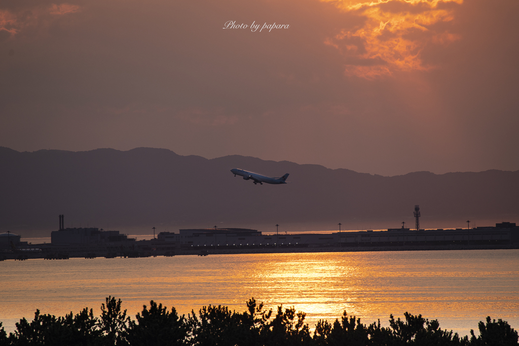 RINKU Sunset_2024224