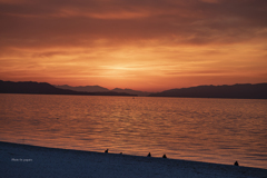 RINKU Sunset_2024373