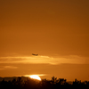 RINKU Sunset_2025214