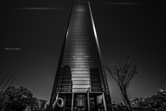 Architecture_06