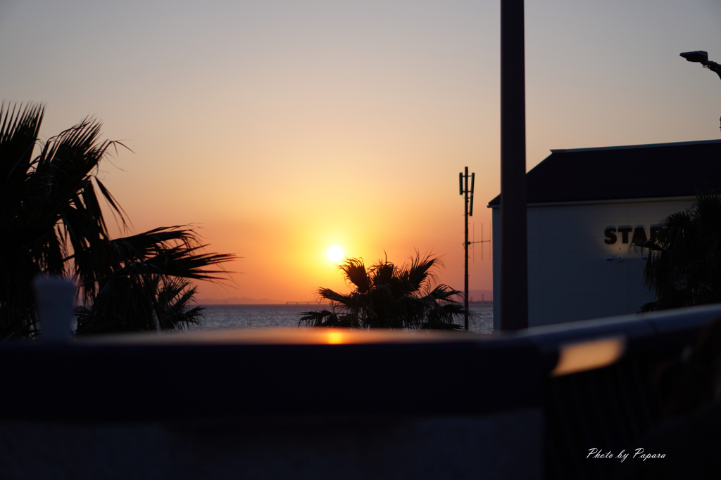 RINKU Sunset_100