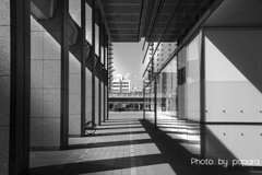 walking course_101