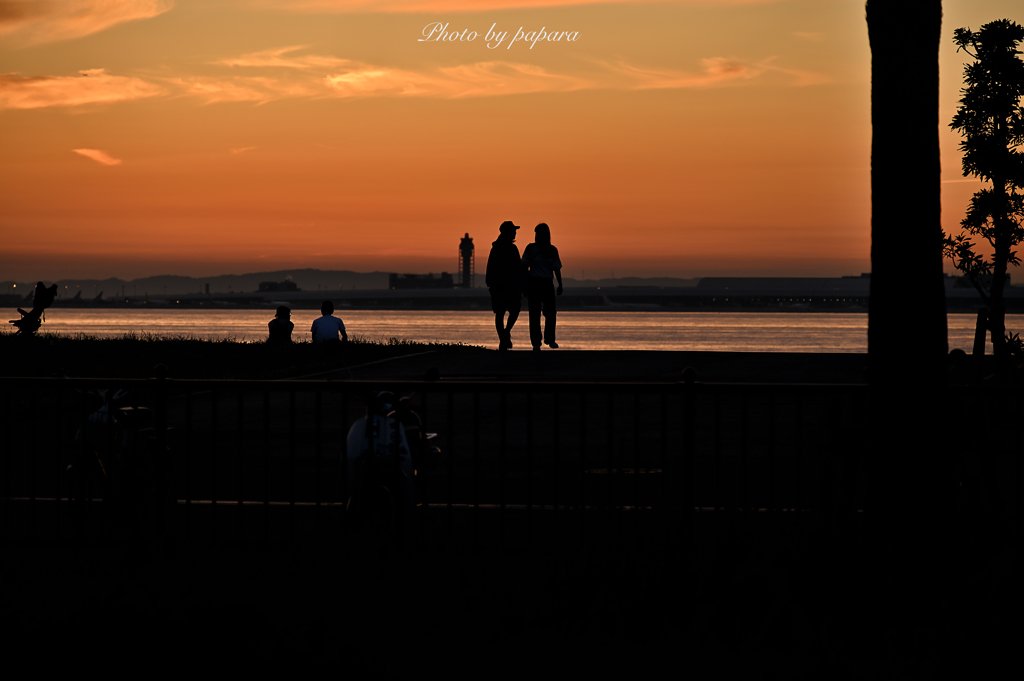 RINKU Sunset_2024188