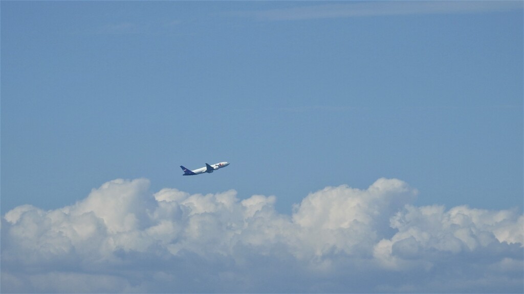 夏空に戻りました