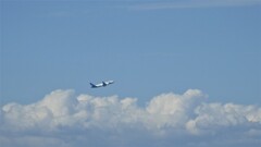 夏空に戻りました