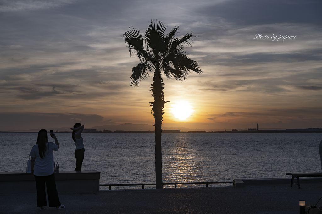 RINKU Sunset_2024236