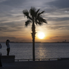 RINKU Sunset_2024236