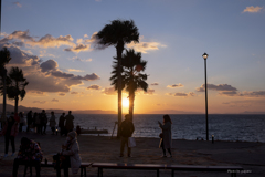 RINKU Sunset_2025026