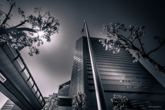 Architecture_05